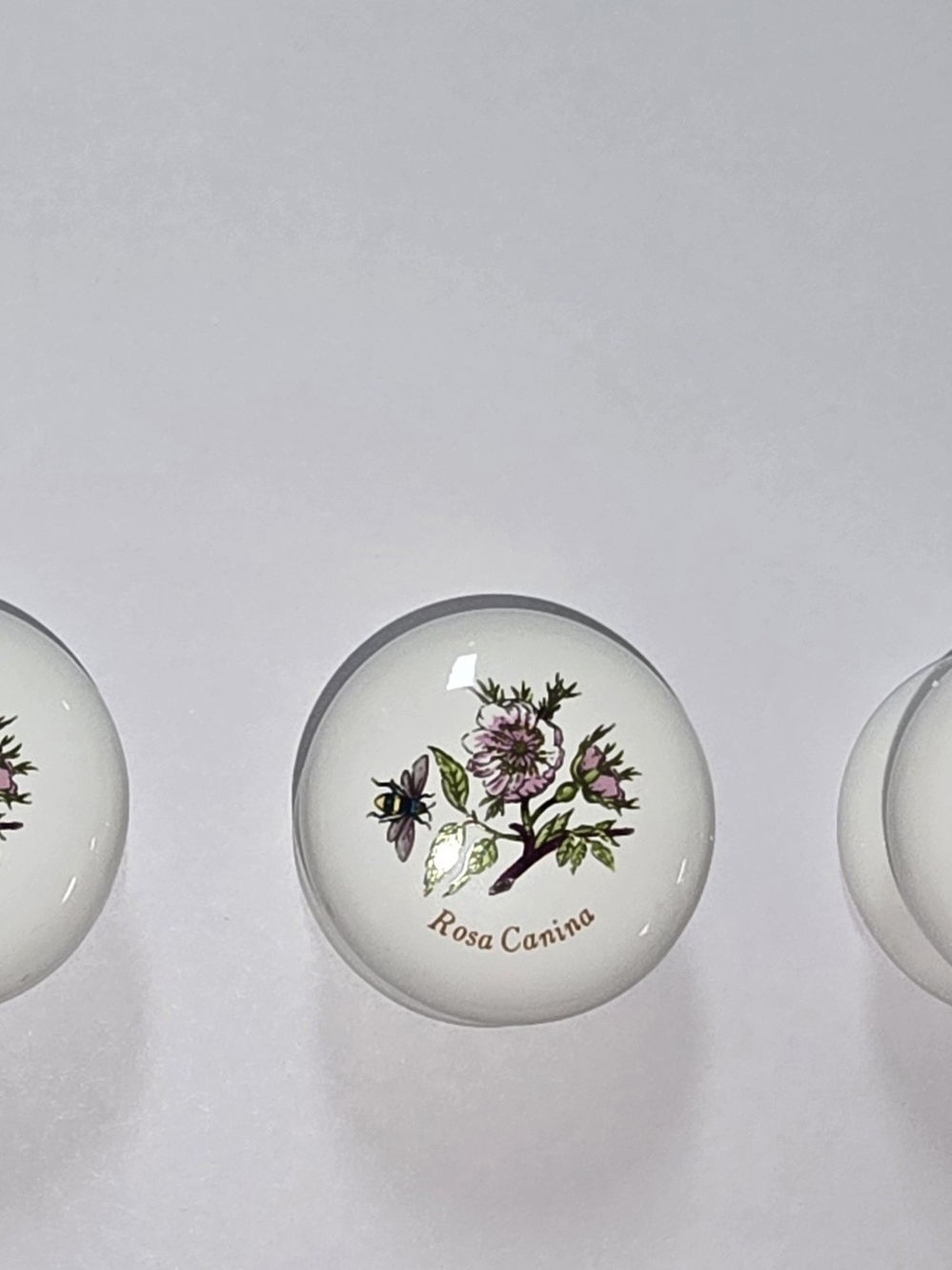 Set Of 3 ceramic Knobs. Vintage Rosa Canina.